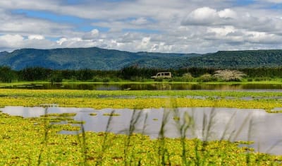 Highlights of Tanzania Safari 5D/4N (Tarangire, Serengeti & Ngorongoro) - 9