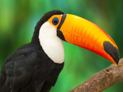 Iguazu Falls Adventure 4D/3N (Puerto to Foz) - 6
