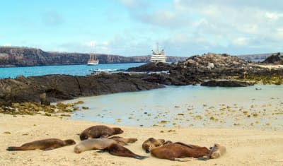 Aventura de salto de isla en isla por Galápagos 5D/4N - 3