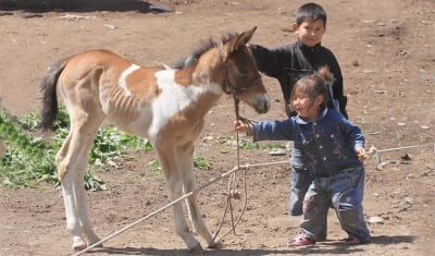 Kazakhstan to Kyrgyzstan Adventure 12D/11N - 12