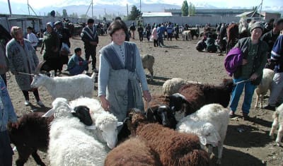 Kazakhstan to Kyrgyzstan Adventure 12D/11N - 20
