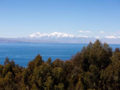 Lake Titicaca & Isla del Sol Explorer 3D/2N (La Paz to Cuzco) - 7
