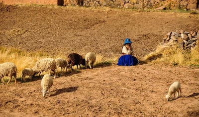 Alojamiento en casa de familia en el lago Titicaca y Luquina (2 días y 1 noche) - 14