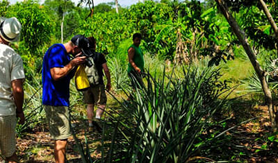 Aventura en la selva amazónica de Manaus, 5 días y 4 noches - 9