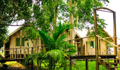 Aventura en la selva amazónica de Manaus, 5 días y 4 noches - 13