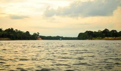 Aventura en la selva amazónica de Manaus, 5 días y 4 noches - 23