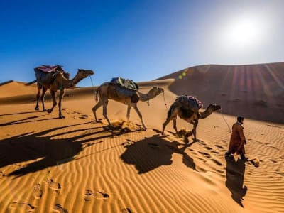Marrakech City & Desert Adventure 5D/4N - 2