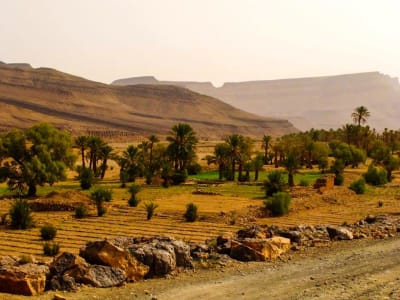 Marrakech City & Desert Adventure 5D/4N - 8