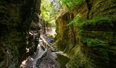 Niagara Falls, Washington DC, Philadelphia & Amish Country 4D/3N (from New York) - 3