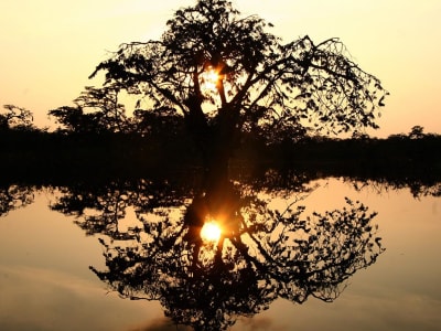 Expedición aérea de Río a la Amazonia 16 días y 15 noches - 5