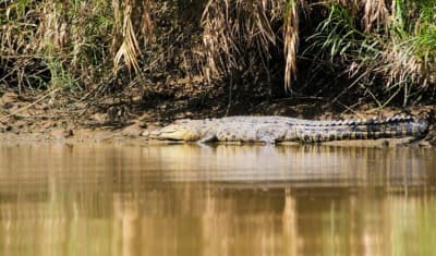 Sabah Highlights Adventure 7D/6N - 8