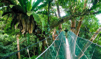 Sabah Highlights Adventure 7D/6N - 9