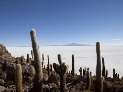 Salta to La Paz Salt Flats Adventure 10D/9N - 10