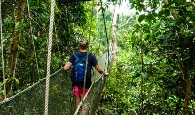 Sandakan Orangutan Experience 4D/3N - 6