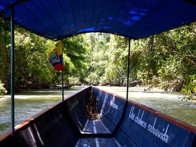 Aventura en Tena Amazon Eco-Lodge 4D/3N - 4
