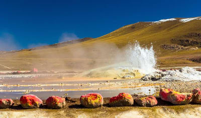 Uyuni Salt Flats & Desert Adventure 3D/2N (Uyuni to Atacama) - 12