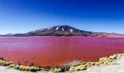 Uyuni Salt Flats & Desert Adventure 3D/2N (Uyuni to Atacama) - 21