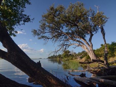 Victoria Falls & Chobe Adventure 4D/3N (from Livingstone) - 10