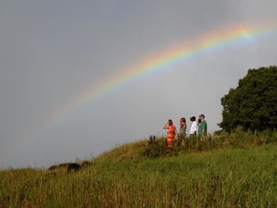 Victoria Falls & Chobe Adventure 4D/3N (from Livingstone) - 12