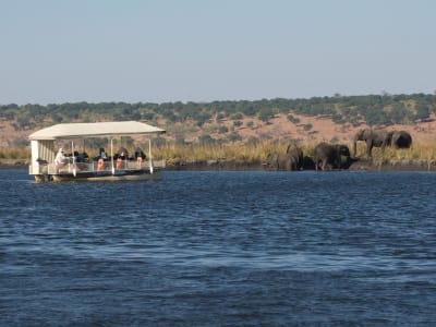 Victoria Falls & Chobe Adventure 4D/3N (from Victoria Falls) - 4