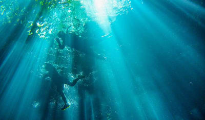 Increíble Aventura en México 15D/14N (desde Cancún) - 6