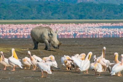 Safari de aventura en 4x4 por Kenia y Tanzania 12D/11N - 14