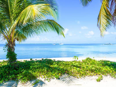 Pase de viaje de la Ciudad de Panamá a Cancún - 24