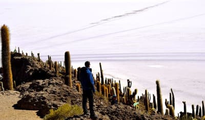Uyuni Salt Flats & Desert Adventure 4D/3N (Atacama to La Paz) - 18
