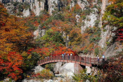 South Korea Circle Adventure 5D/4N - 2