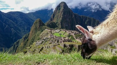 Inca Trail Trek to Machu Picchu 4D/3N - 2