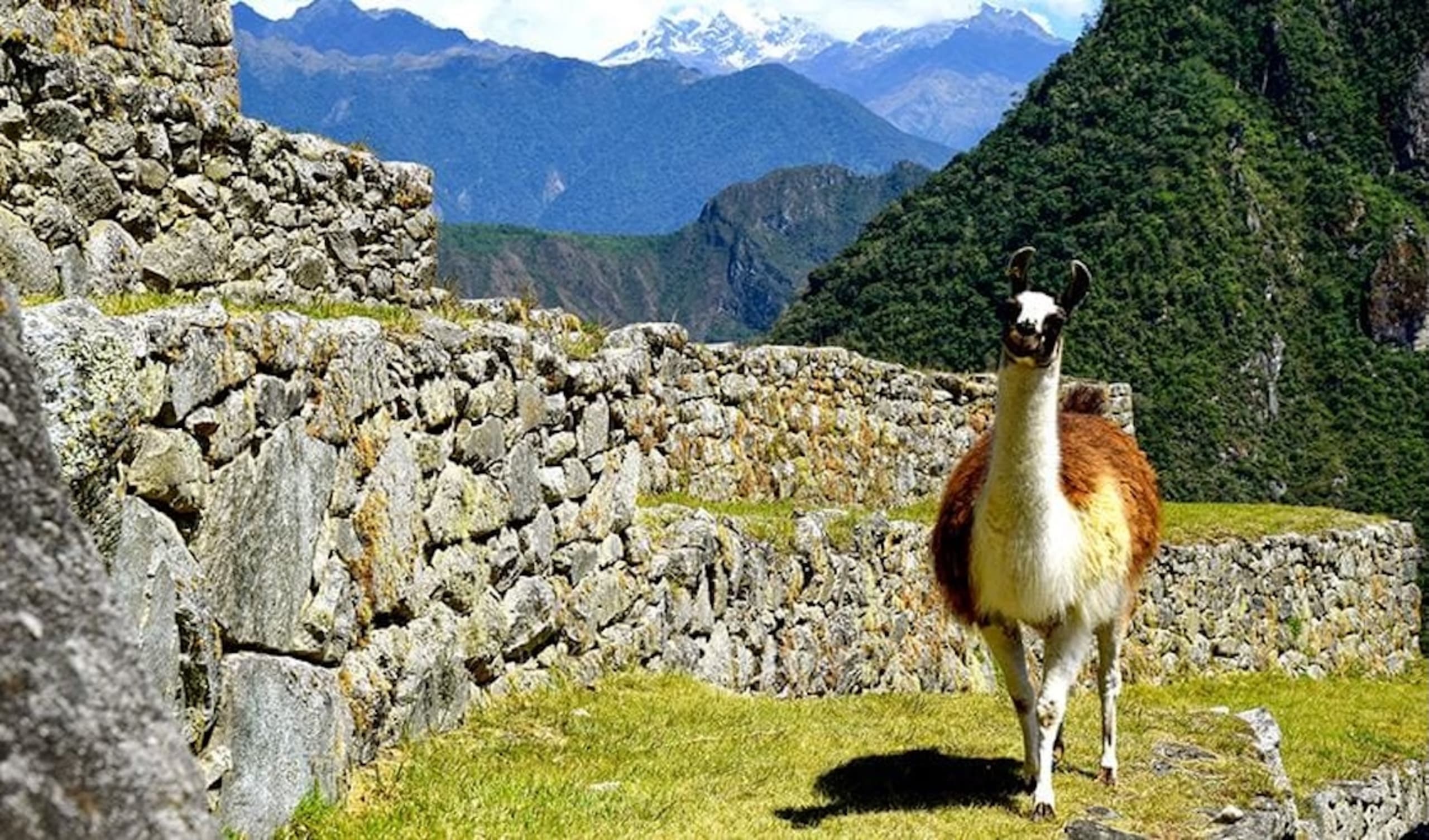 Inca Trail Express Trek to Machu Picchu 2D/1N - 17