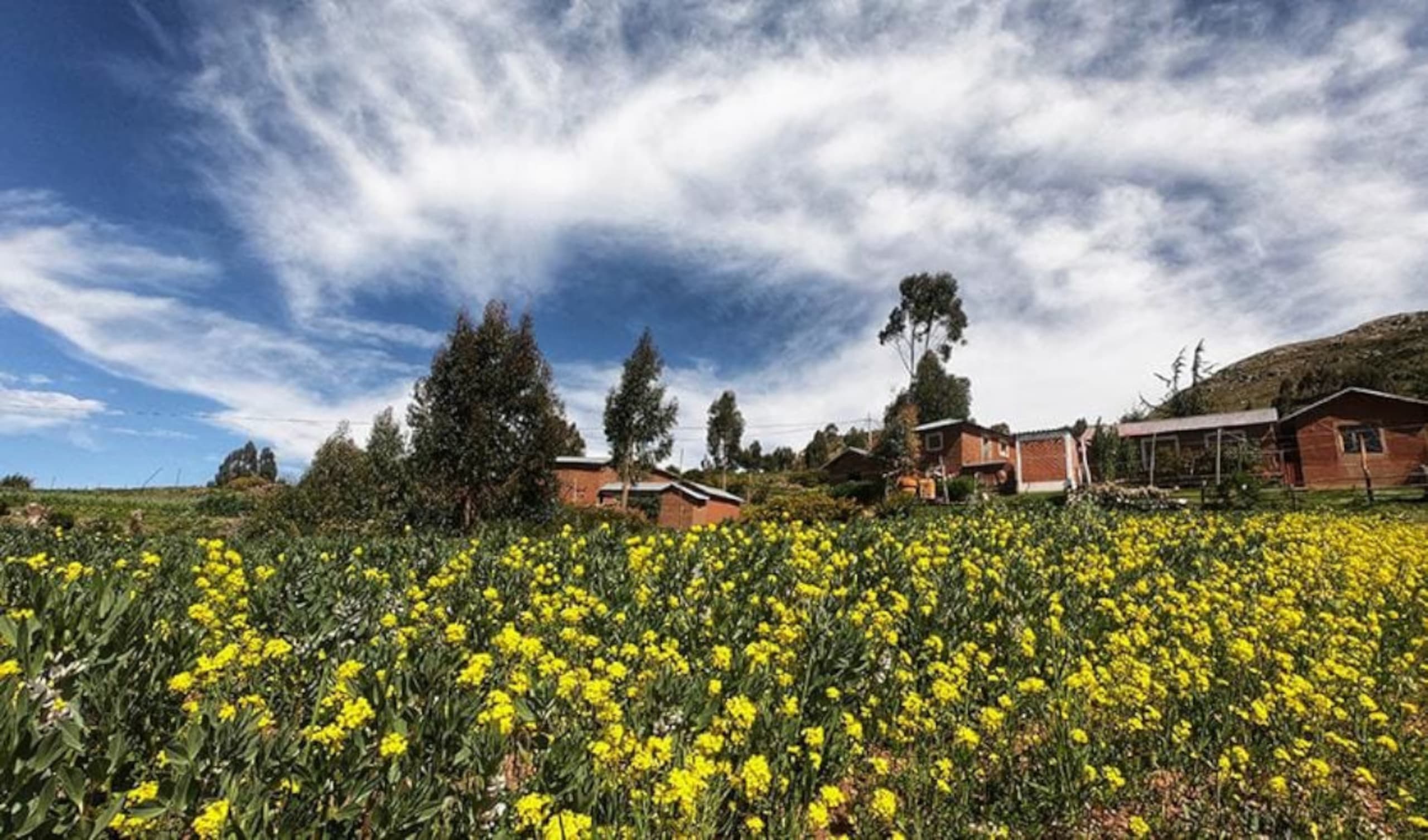 Lake Titicaca & Luquina Homestay 2D/1N - 4