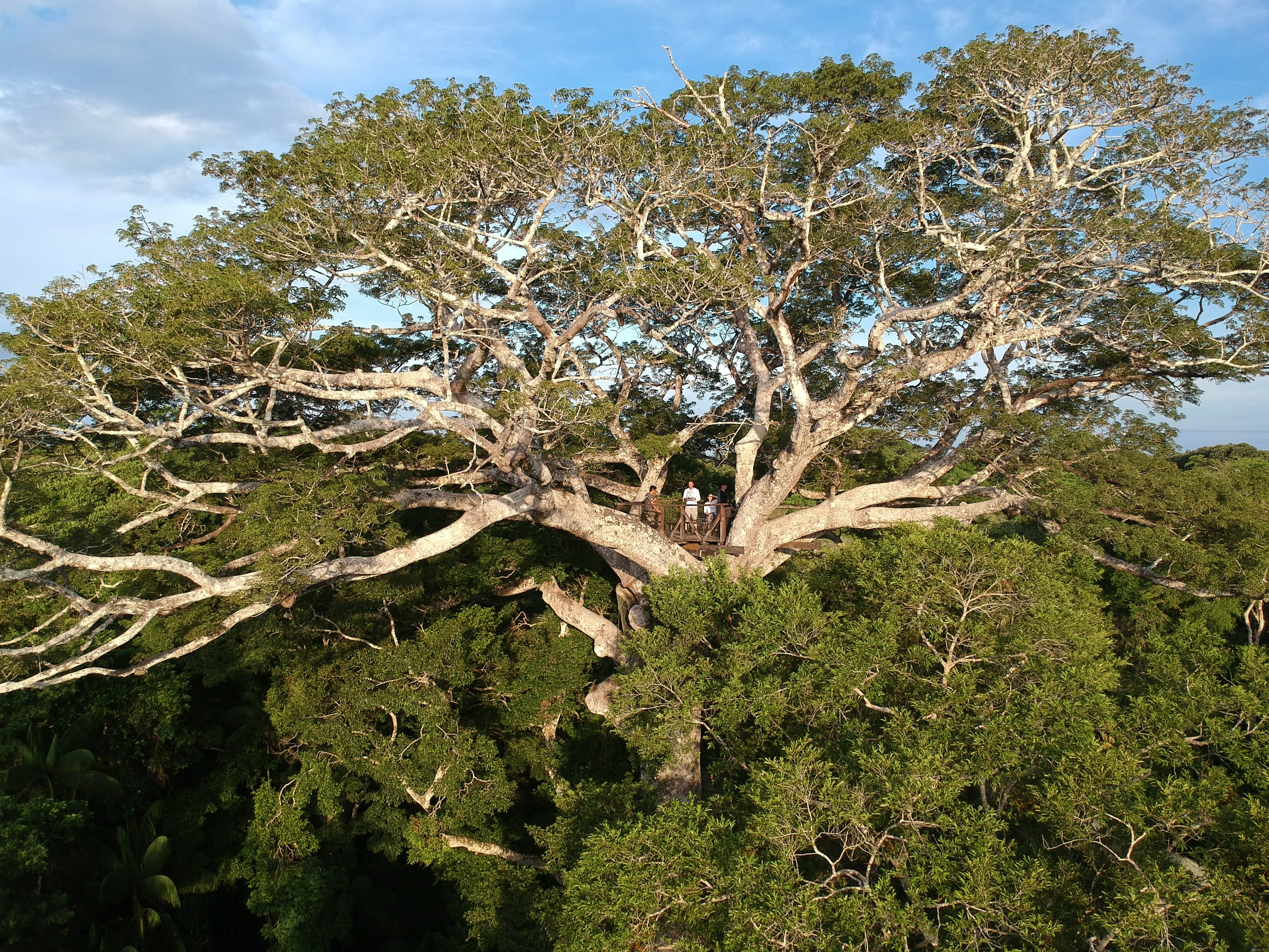 Puerto Maldonado Amazon Eco-Lodge 5D/4N (from Puerto Maldonado) - 50
