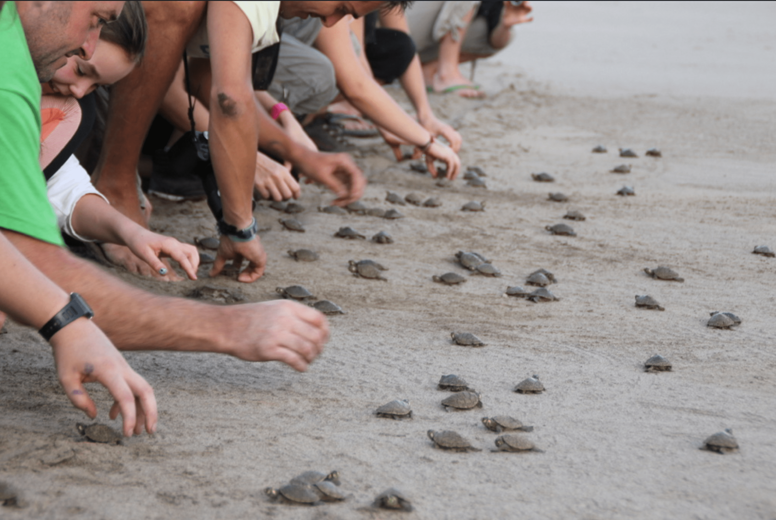 Puerto Maldonado Amazon Eco-Lodge 5D/4N (from Puerto Maldonado) - 12