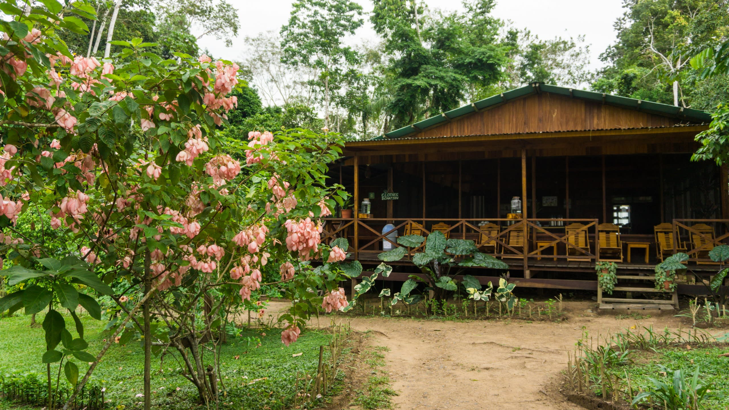 Puerto Maldonado Amazon Eco-Lodge 5D/4N (from Puerto Maldonado) - 29