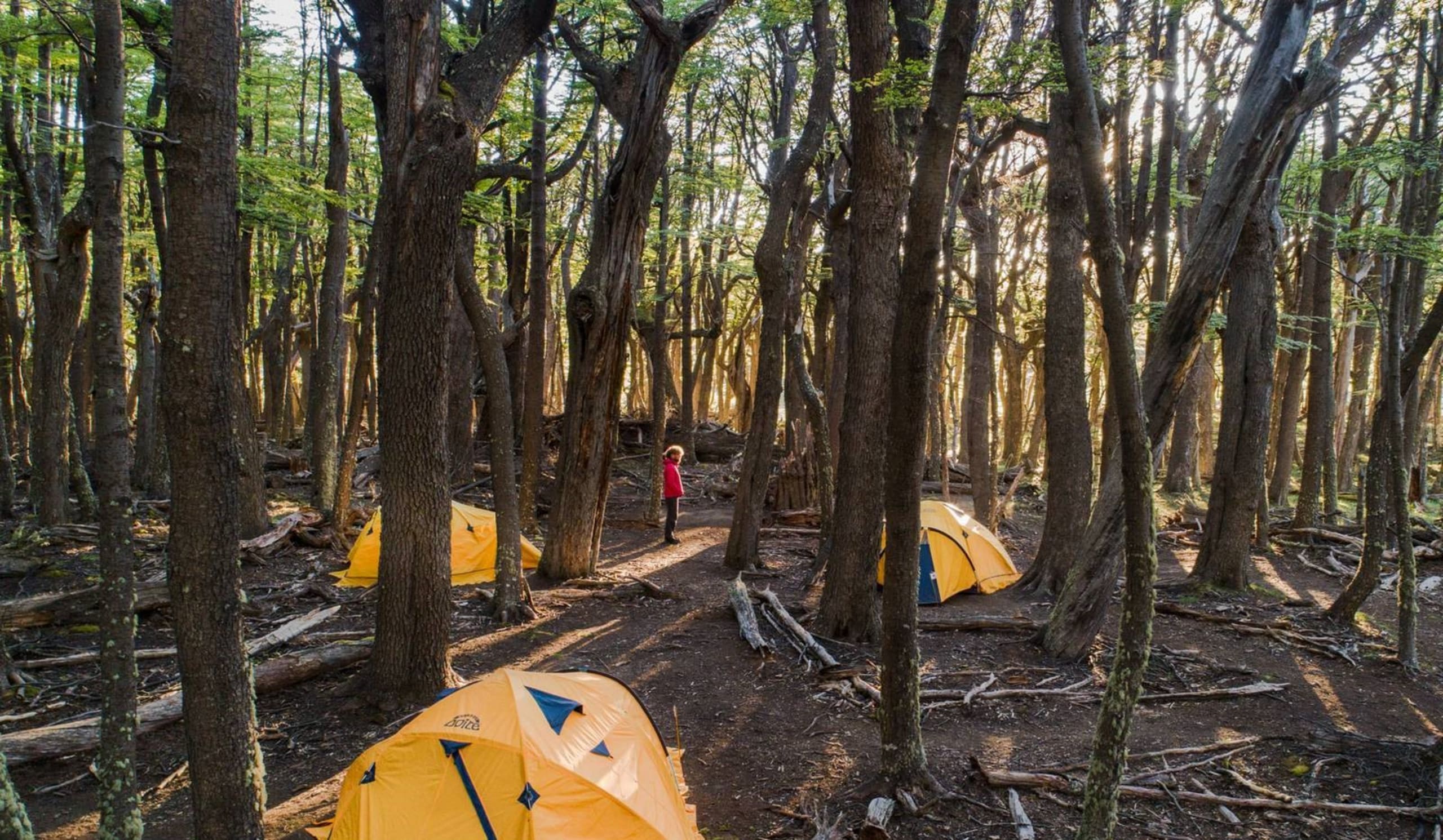 The Majestic Spires of Argentina and Chile 15D/14N - 98