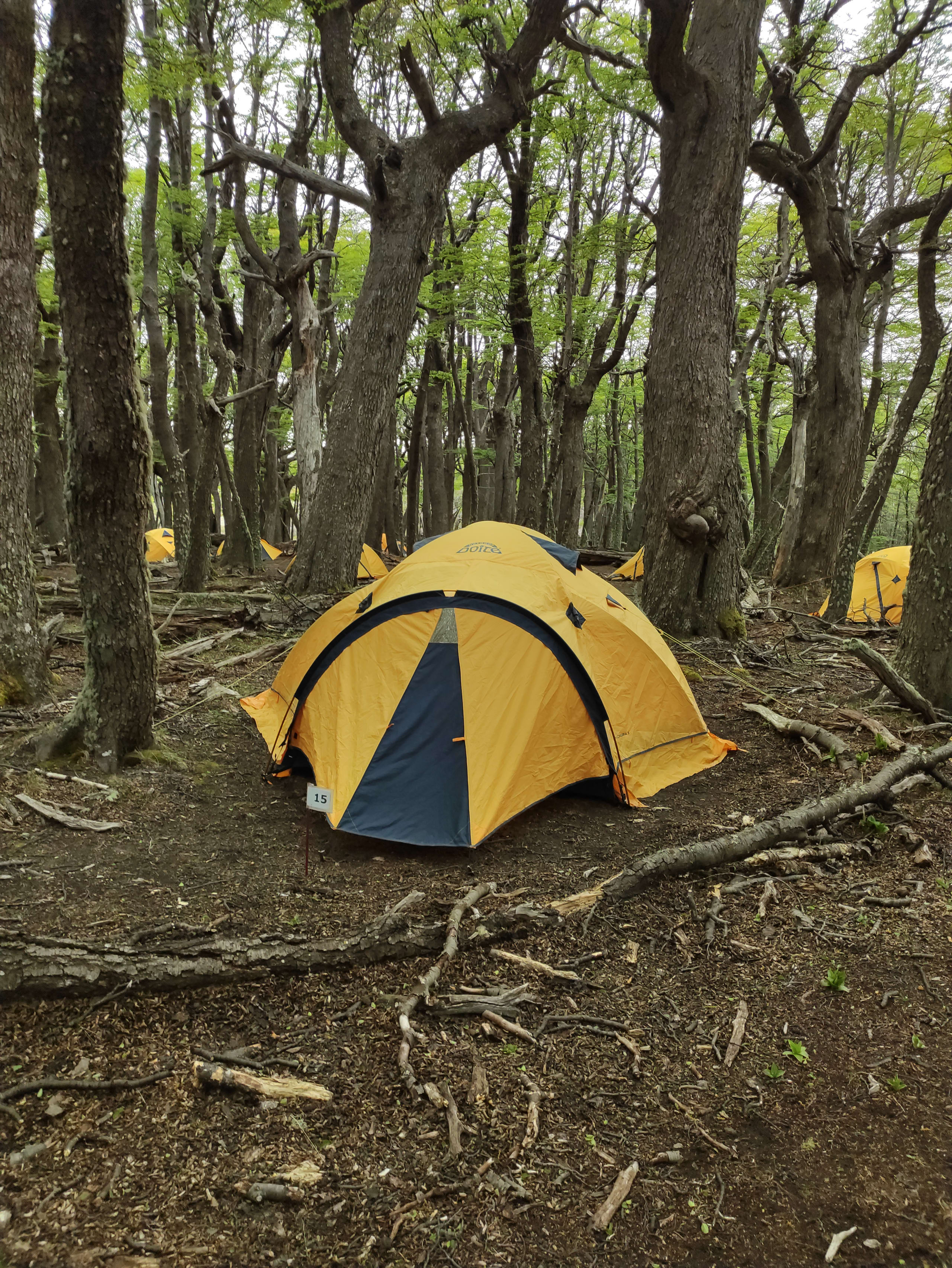 The Majestic Spires of Argentina and Chile 15D/14N - 101