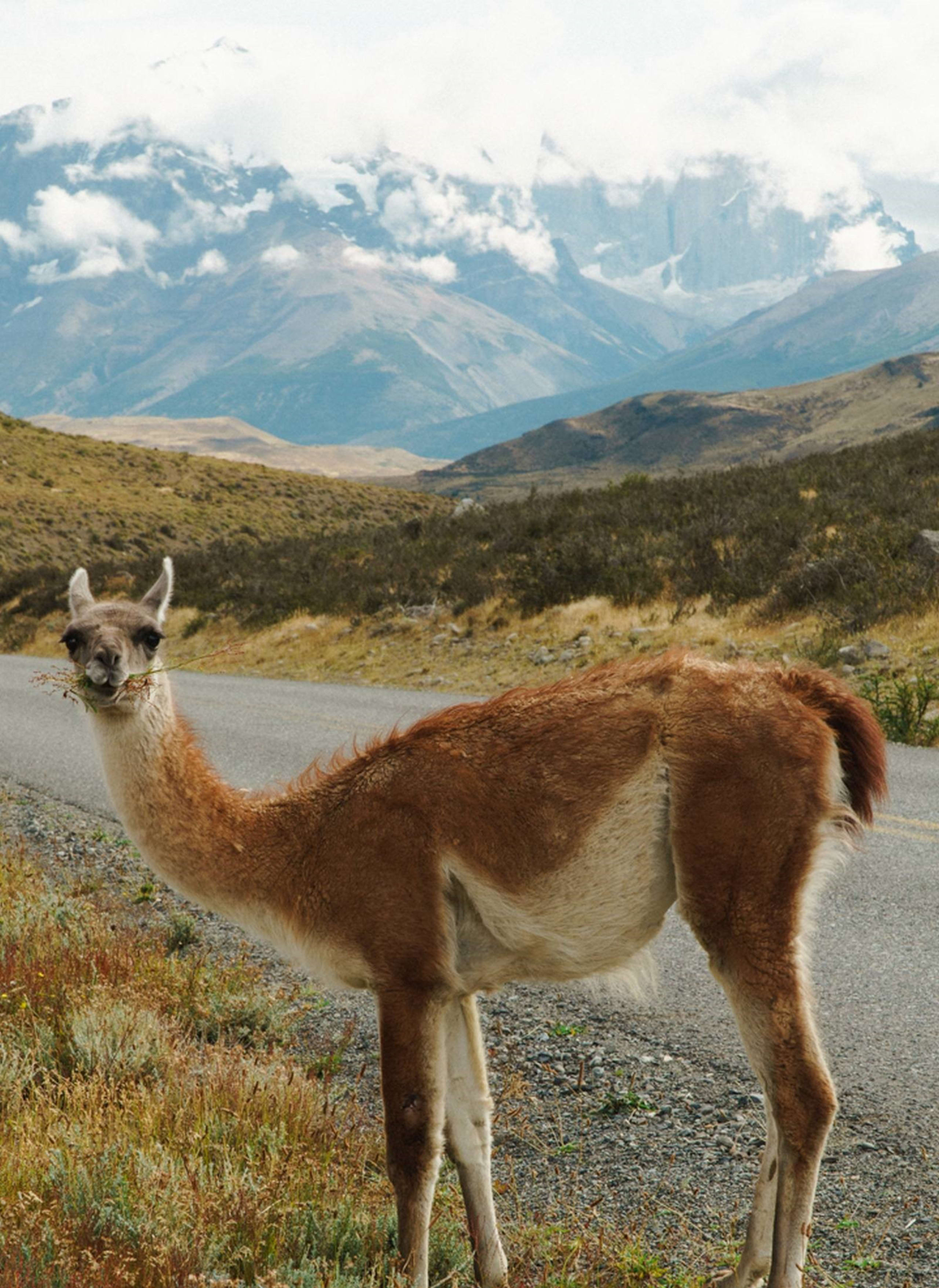 The Majestic Spires of Argentina and Chile 15D/14N - 75