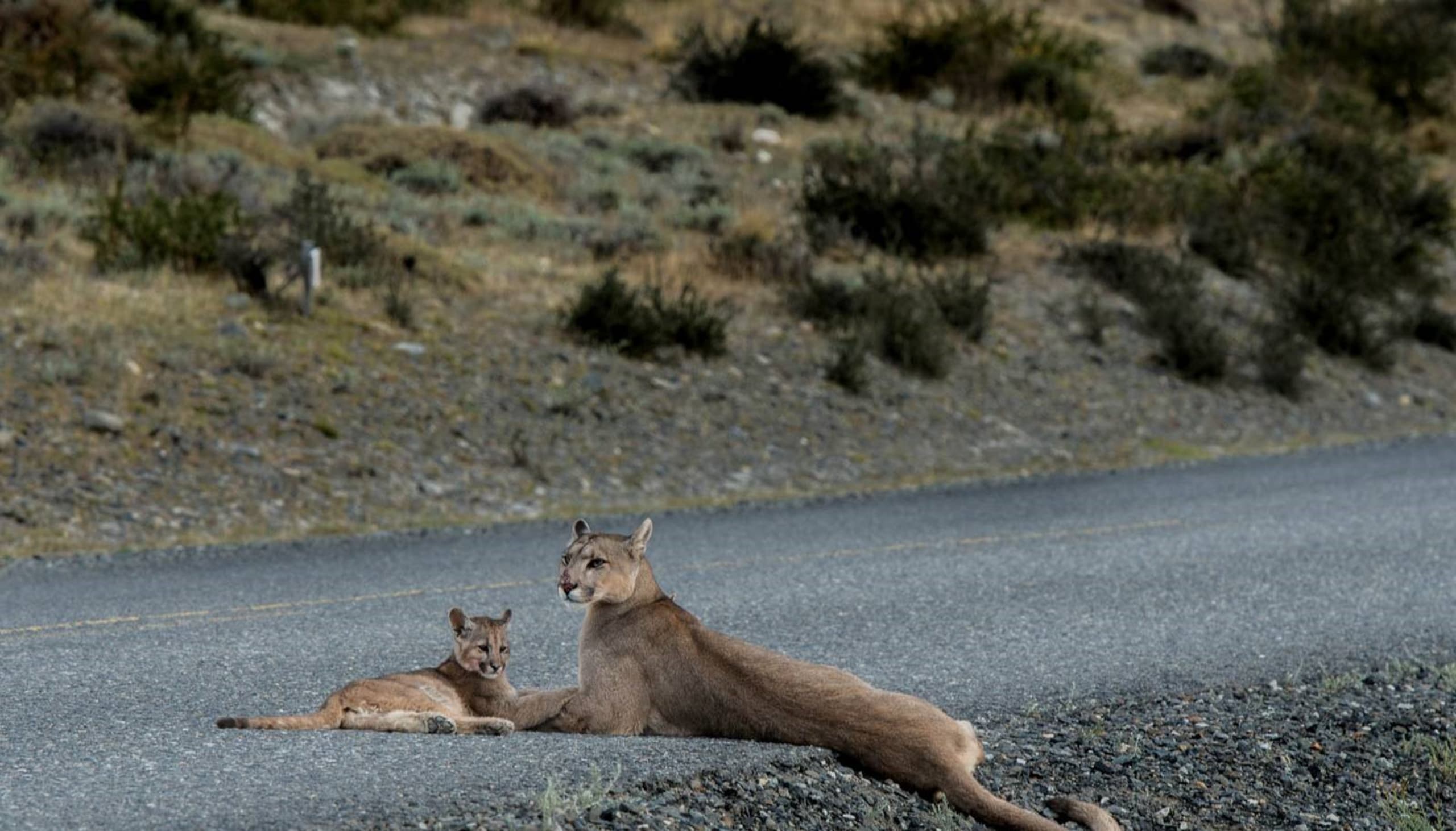 Torres del Paine and Ushuaia Adventure 9D/8N - 27