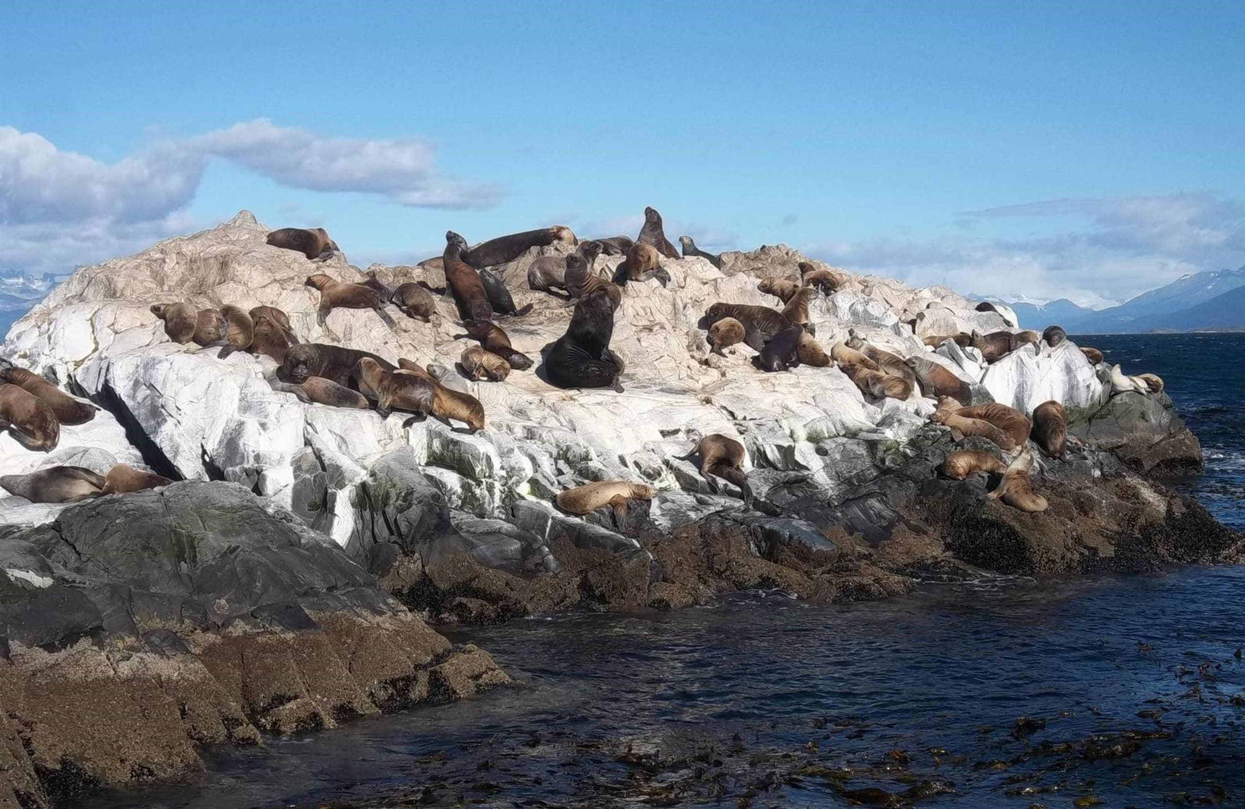 Torres del Paine and Ushuaia Adventure 9D/8N - 45