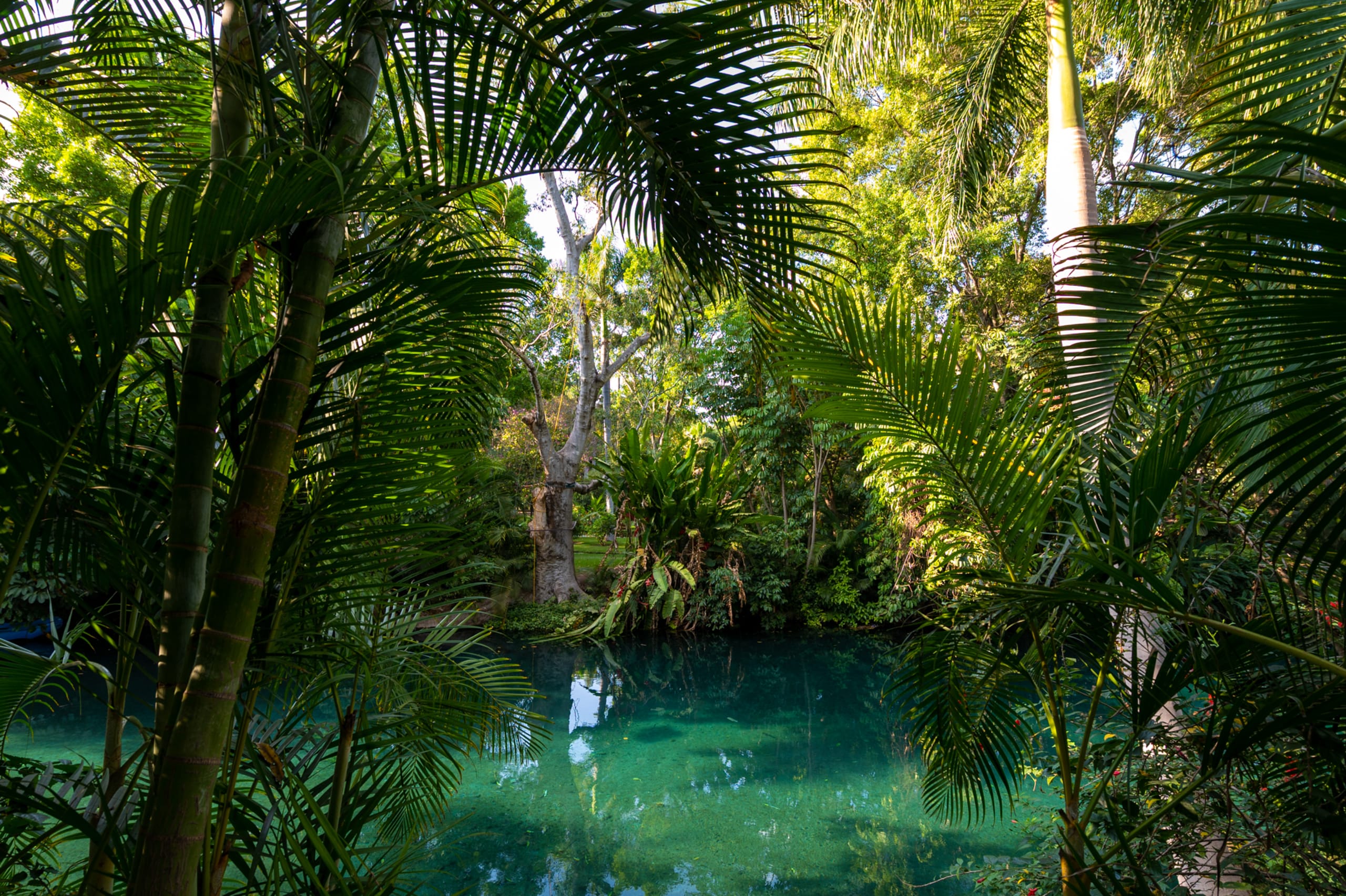 February 11:  Bahidora Festival 2026, Music, Art, Adventure & Mexico City - 39