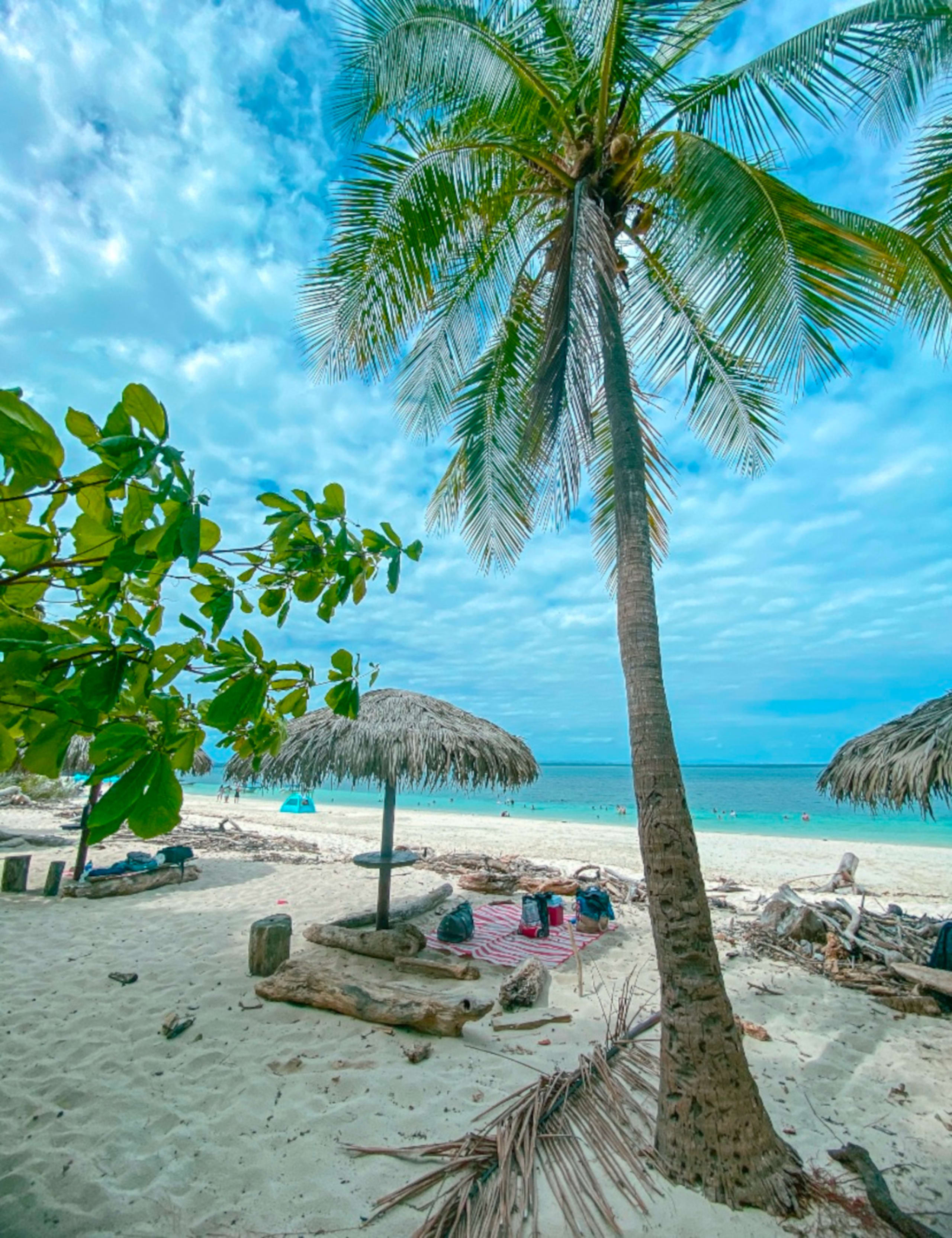 Discover the Unseen Panama 13D/12N - 57