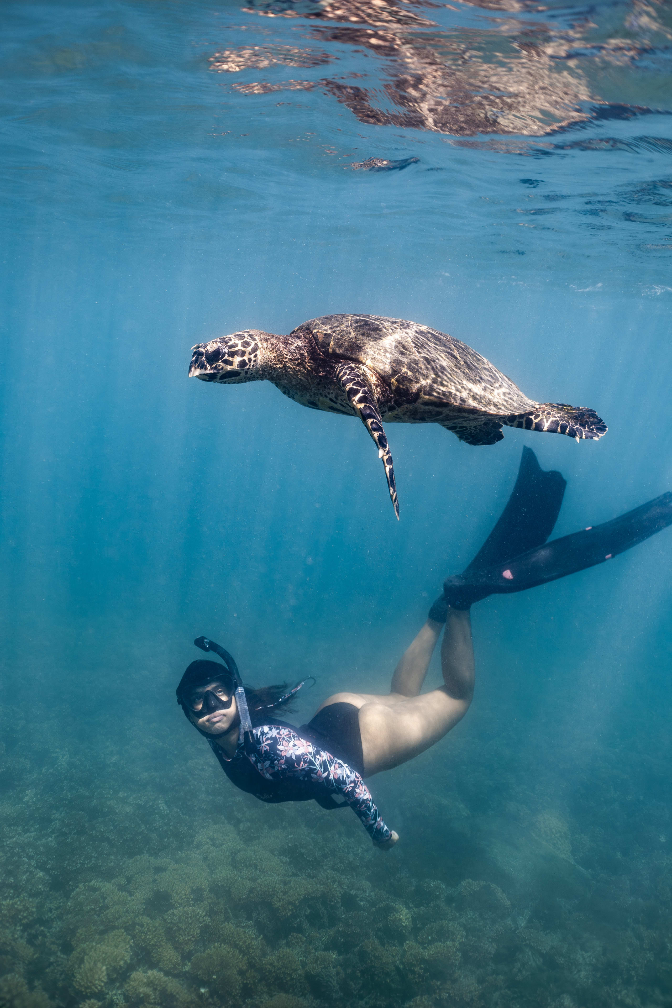 Discover the Unseen Panama 13D/12N - 38