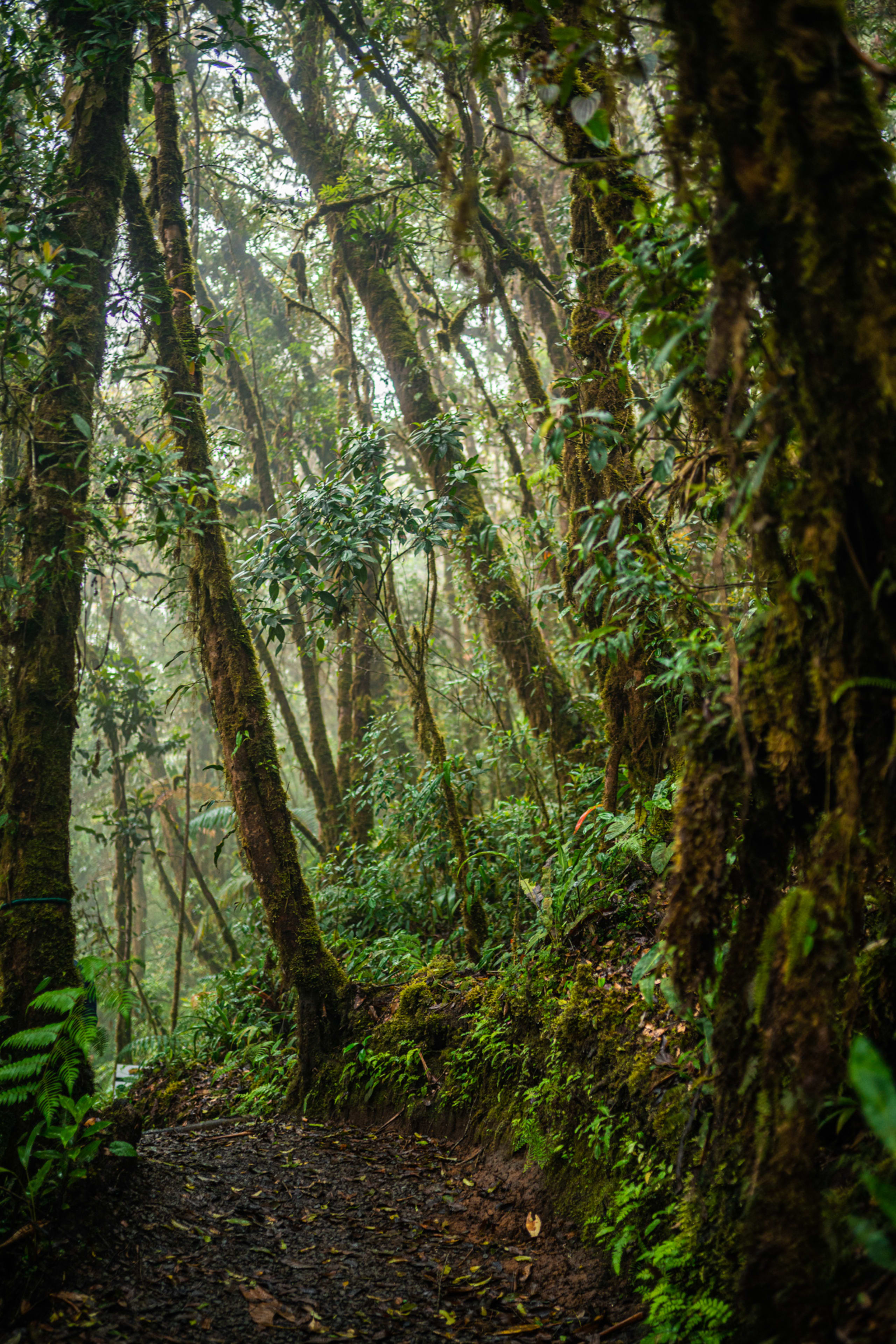 Discover the Unseen Panama 13D/12N - 42