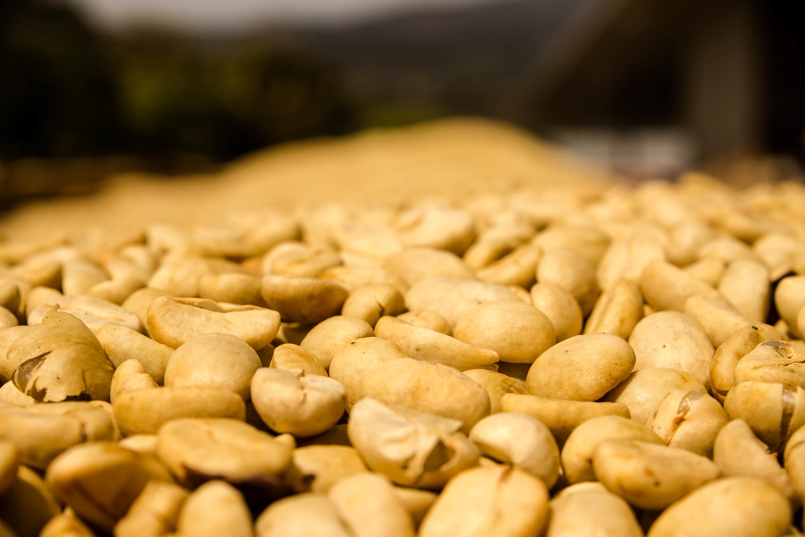 Discover the Unseen Panama 13D/12N - 44