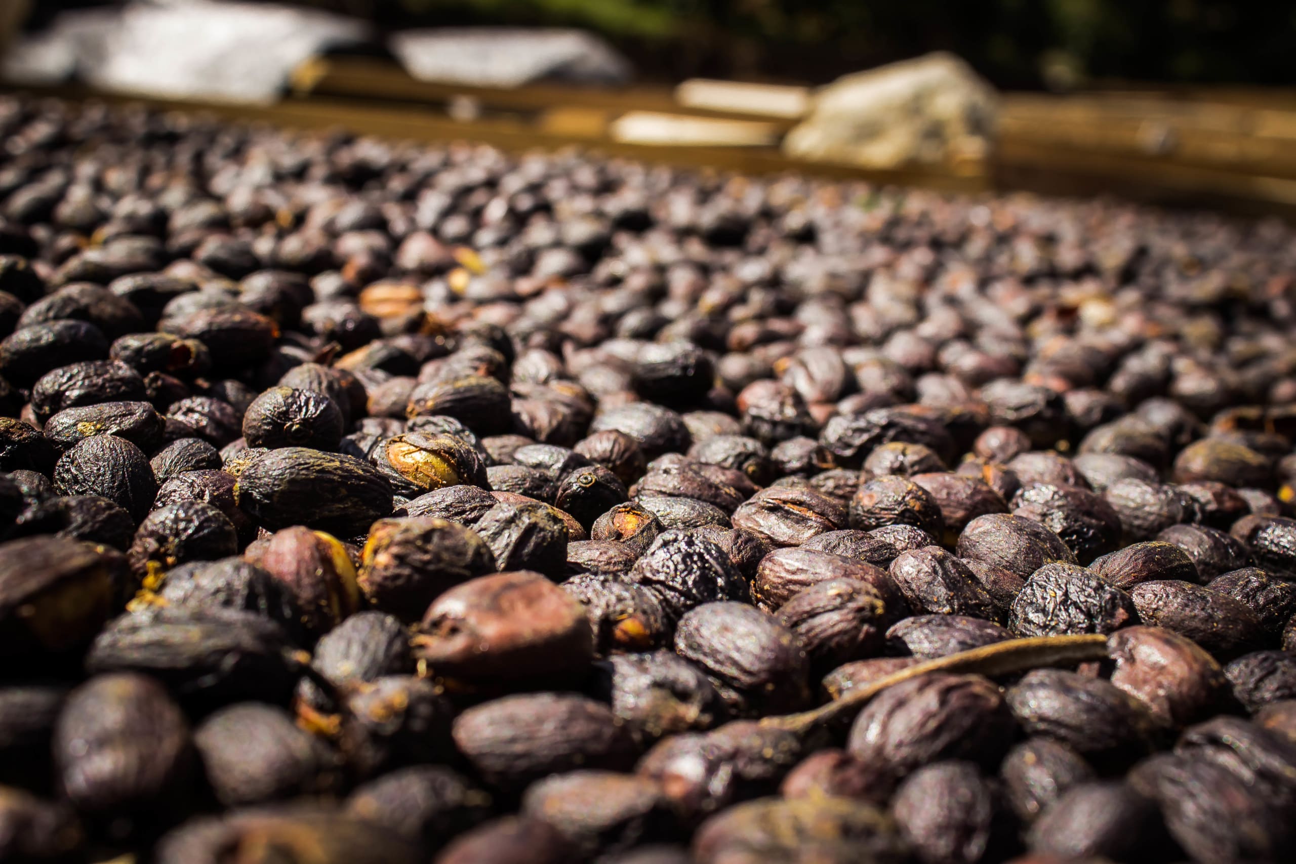 Discover the Unseen Panama 13D/12N - 45