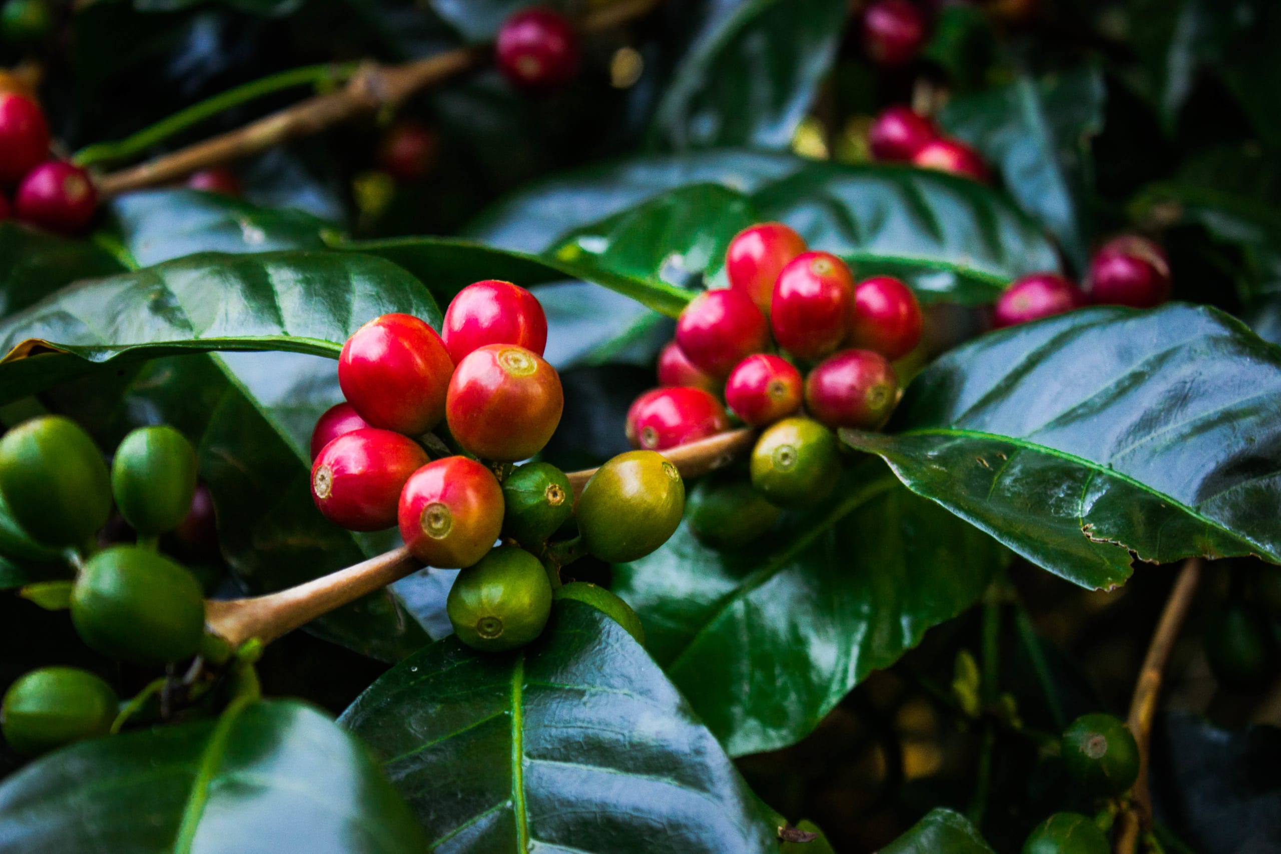 Discover the Unseen Panama 13D/12N - 23