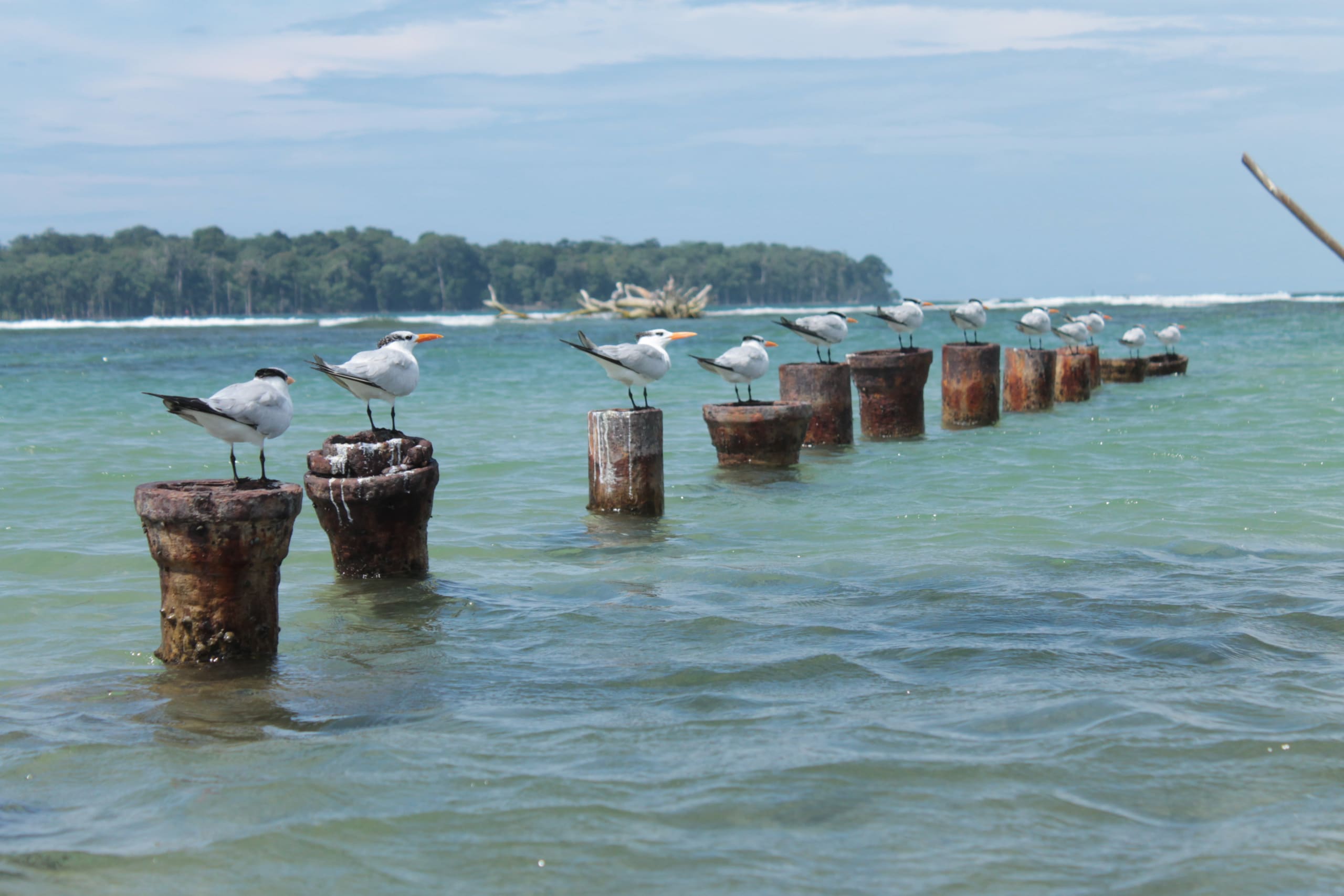 Discover the Unseen Panama 13D/12N - 11