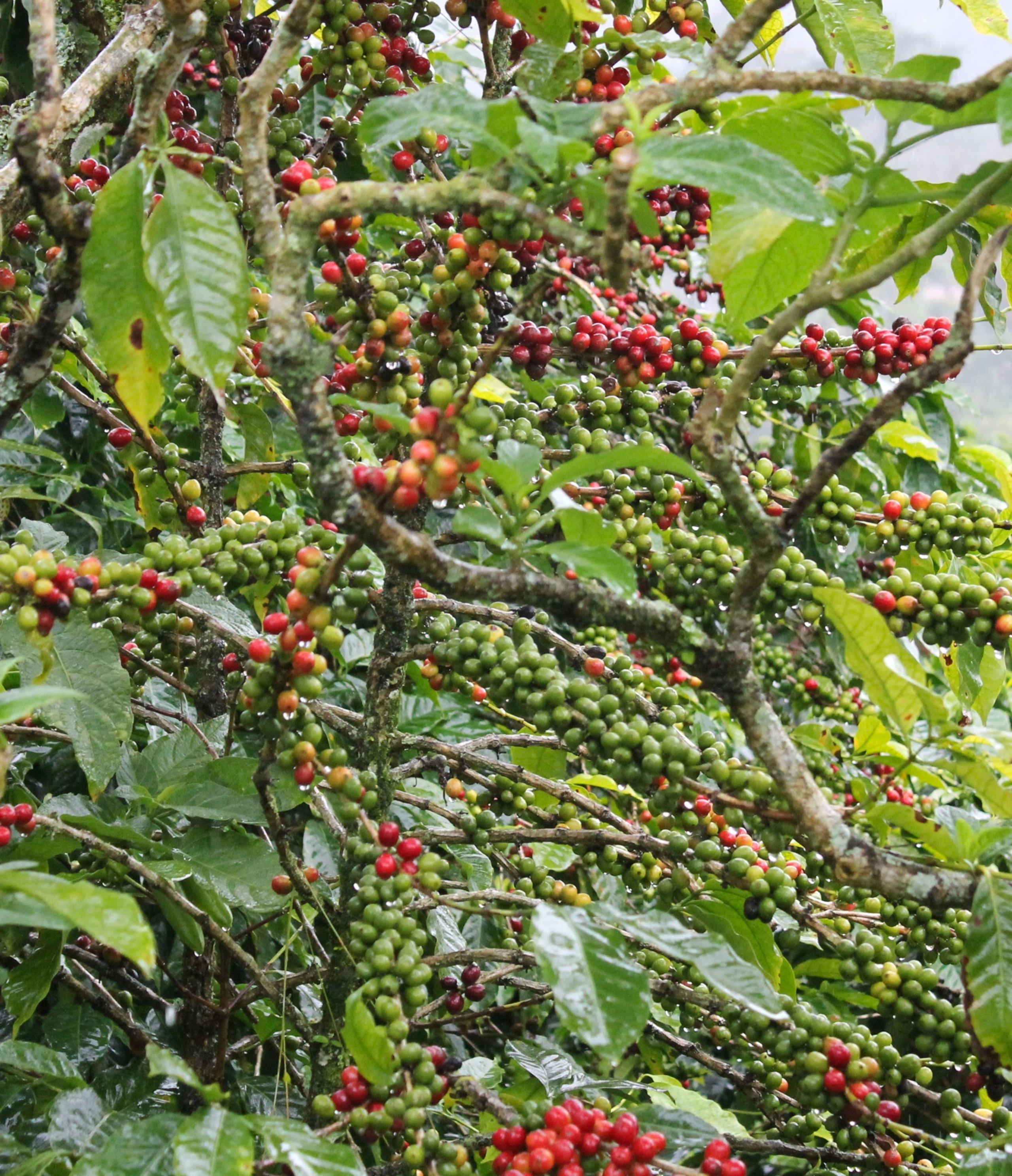 Discover the Unseen Panama 13D/12N - 18