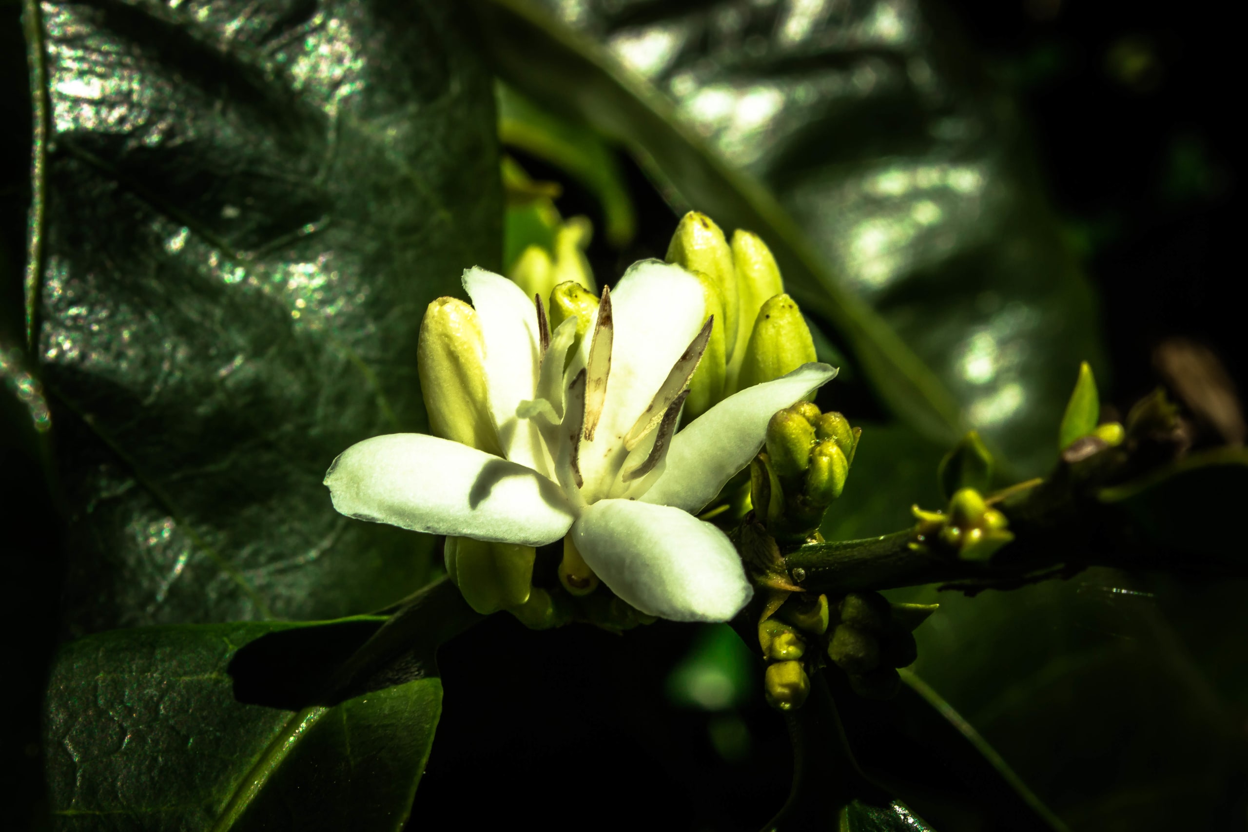 Discover the Unseen Panama 13D/12N - 25